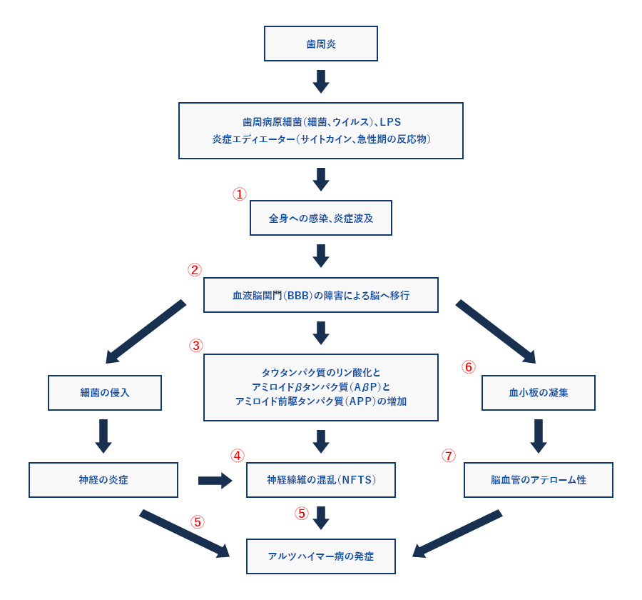 歯周病と認知症の関係