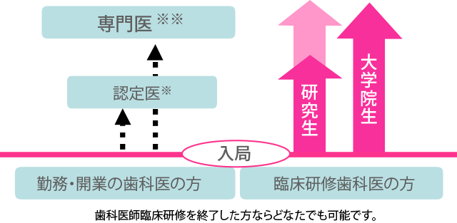 歯周病専門医・指導医の違いとは?