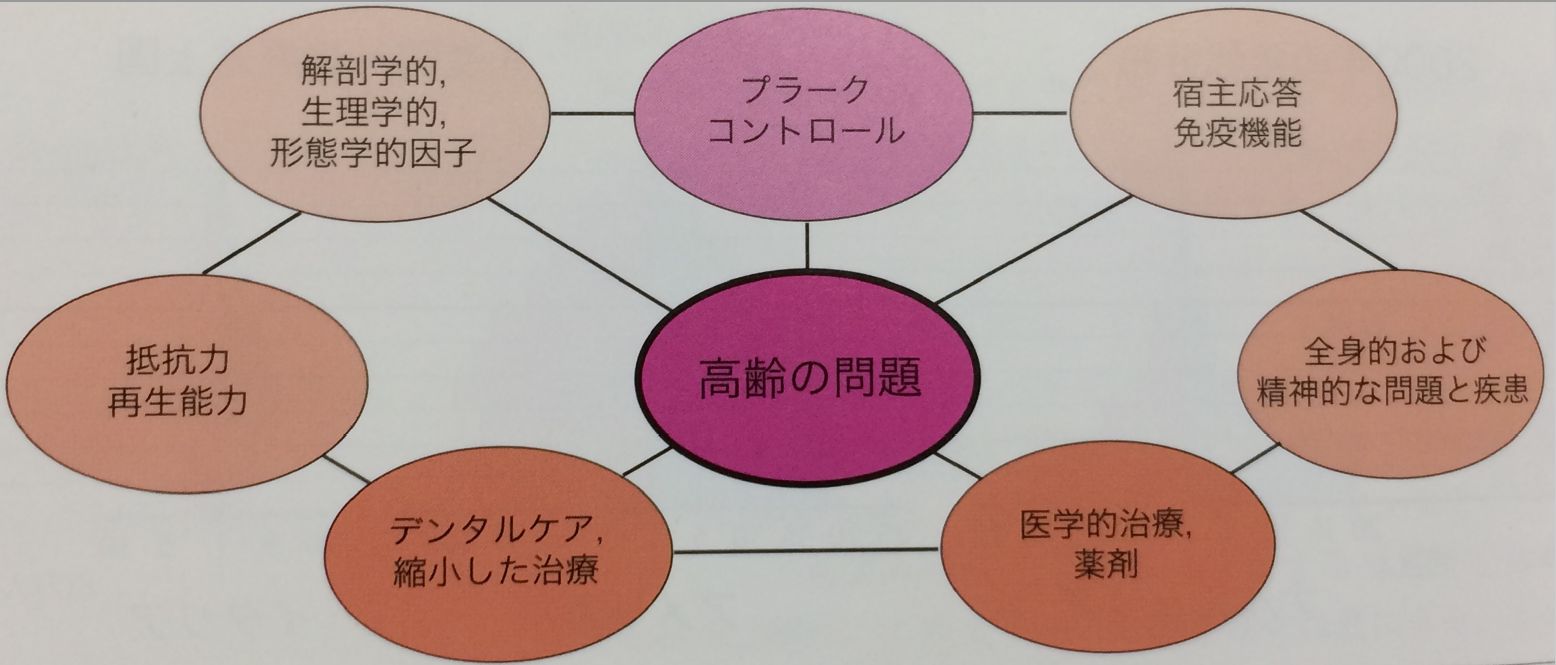 老年歯周病学 ～高齢者の歯周組織～